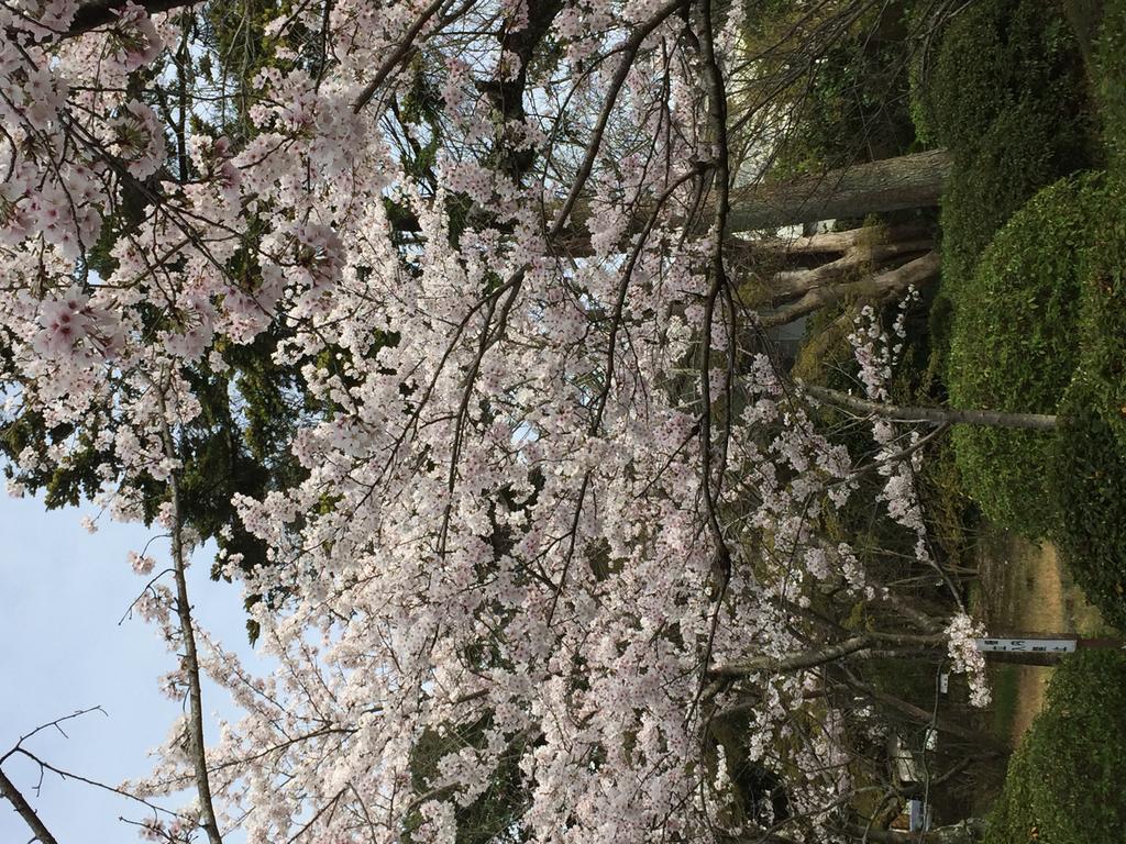 Ryokan Uemura เกียวโต ภายนอก รูปภาพ